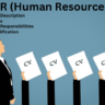 HR Job Description, Skills, Job Responsibilities, and Qualification